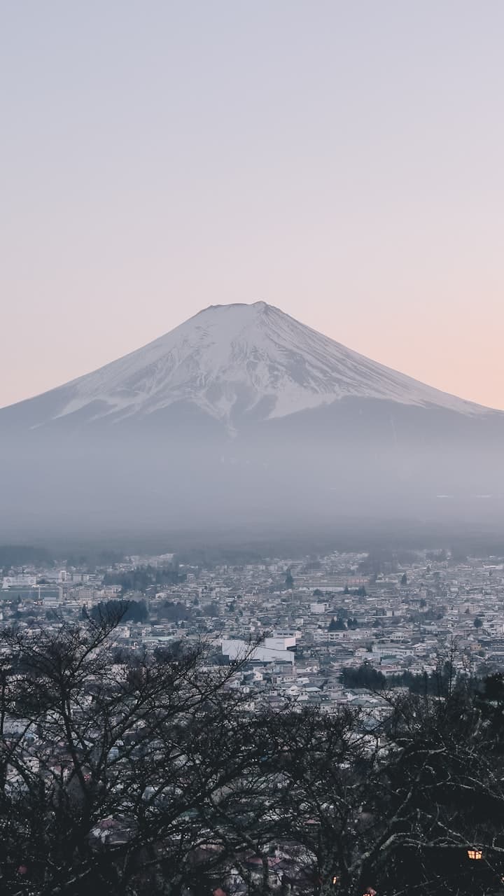 Japó